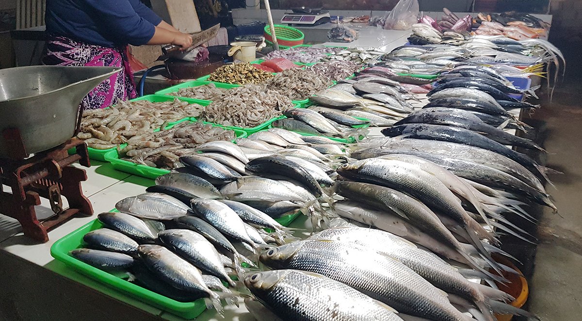 Kementerian KKP Proyeksikan Produksi Ikan Nasional 10,57 Juta Ton