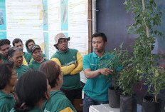 Bayer Indonesia Luncurkan Camalus, Inovasi Insektisida Sistemik Ganda 