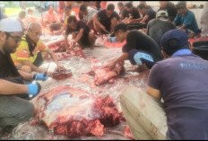 Telkom, Jurnalis Bersama Warga Rayakan Kurban