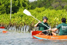 Hari Mangrove Sedunia 2026, Bank BSN Dorong Pelestarian Ekosistem Pesisir