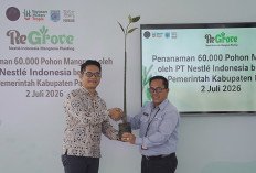 Melalui Semangat #NyataBawaMakna, Nestlé Indonesia Tanam 60.000 Mangrove