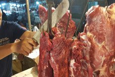 2026, Kementan Targetkan Impor Sapi 700 Ribu Ekor